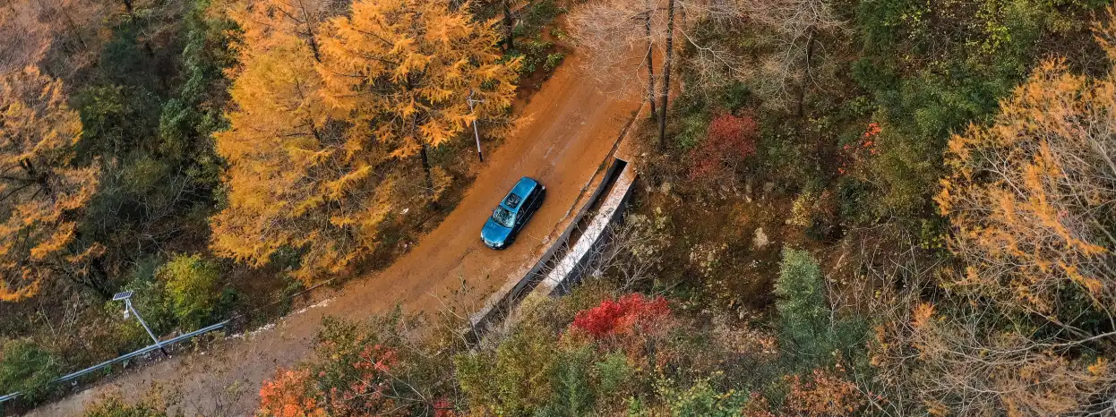 Thrifty Autoverhuur 